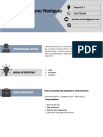 Evidencia 3 Curriculum - Vitae - Format