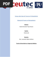 Ensayo Sobre Tipos de Trauma en Prehospitalario