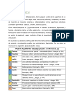 Anatomía 2022 - S1 - Accidentes Óseos