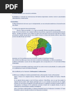 Piramidal y Extrapiramidal - Bueno