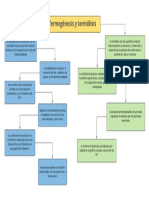 Termogenesis y Termolisis