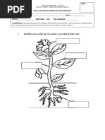 EVALUACIÓN DE CIENCIAS NATURALES 1parte 1 Unidad