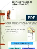 Sistema Nervioso y Acv