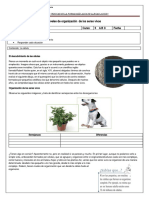 Guía 2 Pedro Salinas 5°tos Básicos Ciencias Naturales Niveles de Organización de Los Seres Vivos La Célula.