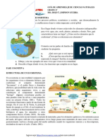 GT 2020 CN g6 Estructura de Un Ecosistema