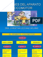 Lesiones Del Aparato Locomotor Exposicion