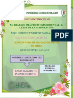 Informe de Taller Grupal