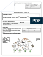 PRUEBA Flujo Energético