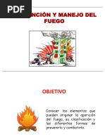 Prevención y Manejo Del Fuego