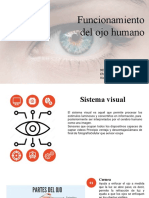 Presentacion Funcionamiento Del Ojo Humano