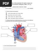 Examen Del Sistema Circulatorio, Excretor y Nervioso