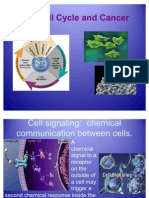 The Cell Cycle and Cancer 2011