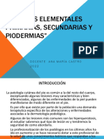 LESIONES ELEMENTALES PRIMARIAS, SECUNDARIAS Y PIODERMIAS Corp