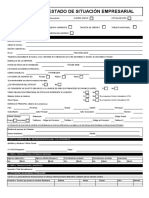 Estado de Situación Empresarial
