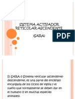 Sistema Activador Reticular Ascendente 1