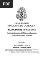 Analisis de La Primera Entrevista. Adulto