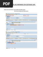 Reflejar Las Mermas en Sistema Sap