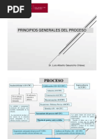 Clase 1 - Principios Del Pro - Civ.-Fusionado