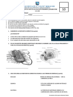 EVALUACION DE CIENCIAS Naturales PRIMER QUIMESTRE