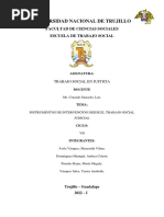 Instrumentos de Intervención Desde El Trabajo Social Judicial