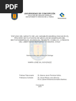 Tesis Estudio Del Impacto de Las Variables Mineralogicas - Image.marked