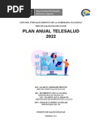 Plan Anual Telesalud - Ps Huayan