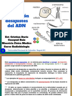 DNA Mismatch Repair (MMR) Cristian Cuaspud