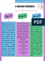 Pae4 - Primer Semestre-Mateo Andrade