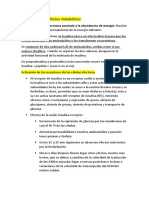 La Insulina y Sus Efectos Metabólicos