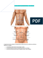 Anatomia y Fisiologia Gastrointestinal