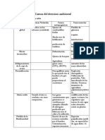 Causas Del Deterioro Ambiental