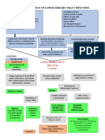 Pathophysiology of Lower Urinary Tract Infection