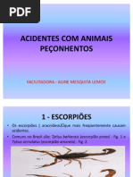 Aula 15-Acidentes Com Animais Peçonhentos