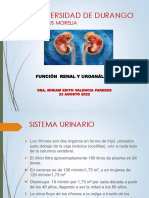 Uroanalisis e Irc Auxiliares Diagnósticos