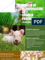 Manejo de Reproduccion Porcino