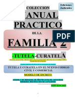 Manual Practico de La Familia 2 Final (2713)