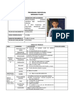 Programa Individual