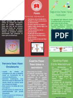 Triptico Sobre Separación de Residuos Moderno Ulustrado