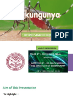 Chikungunya 92659753