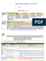 PLAN ANUAL 2022 - Primaria V Ciclo