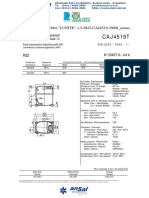 Caj 4519 T