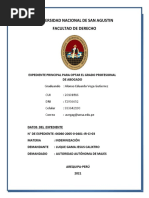 PDF Documento