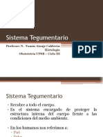 Sistemategumentario 160610012635