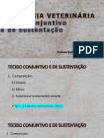 Aula 2 - Tecido Conjuntivo e de Sustentação - Células, Fibras e Substância Fundamental