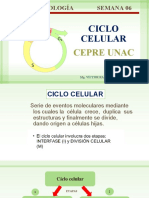 Semana 6 Biologia PPT Ciclo Celular