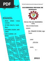 Actividad Peleana