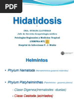 HIDATIDOSIS