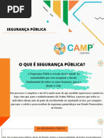 Encontro 8 - Políticas de Segurança Pública - Slides