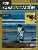 Derrame de Petróleo en Playas Peruanas y Sus Impactos Negativos en El 2022 - Revista de Comunicación - Grupo 5 - 1N