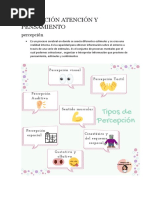 PERCEPCIÓN ATENCIÓN Y PENSAMIENTO Monografia